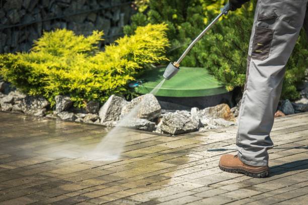 Best Driveway Pressure Washing  in Oaklyn, NJ